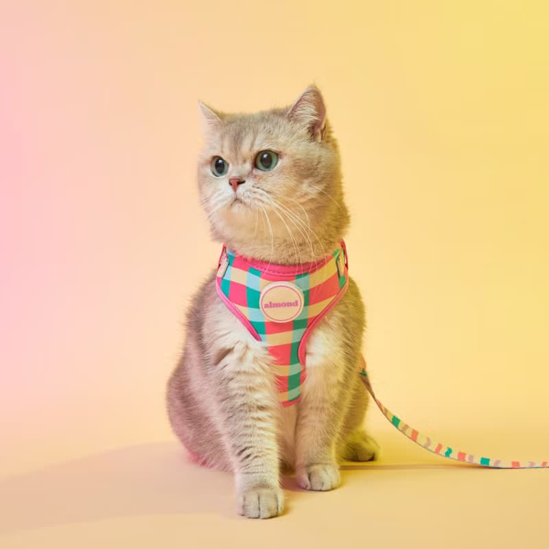 PERRY HARNESS SET with Leash - STRAWBERRY AFTERNOON (PINK)