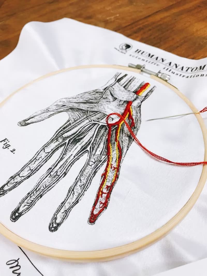 After School - DIY溫感手作人體血管分布刺繡套組