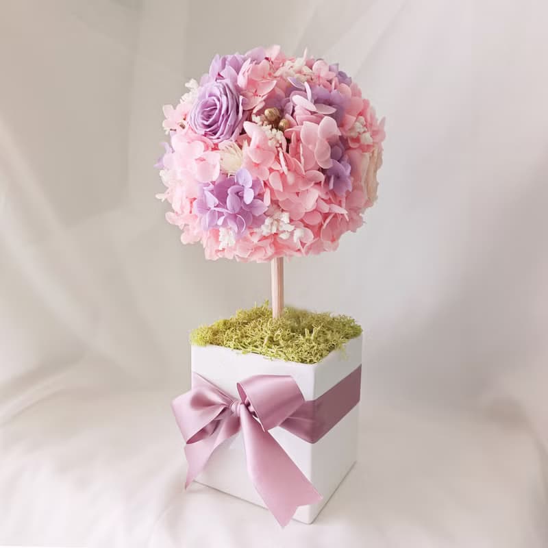 【相思樹】永生花/乾燥花/盆花