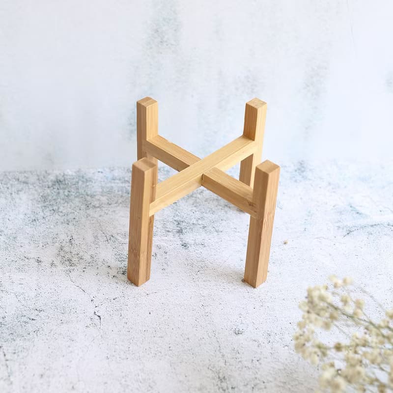 PD20黃金福祿桐小苔球