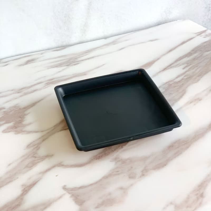 PD20黃金福祿桐小苔球