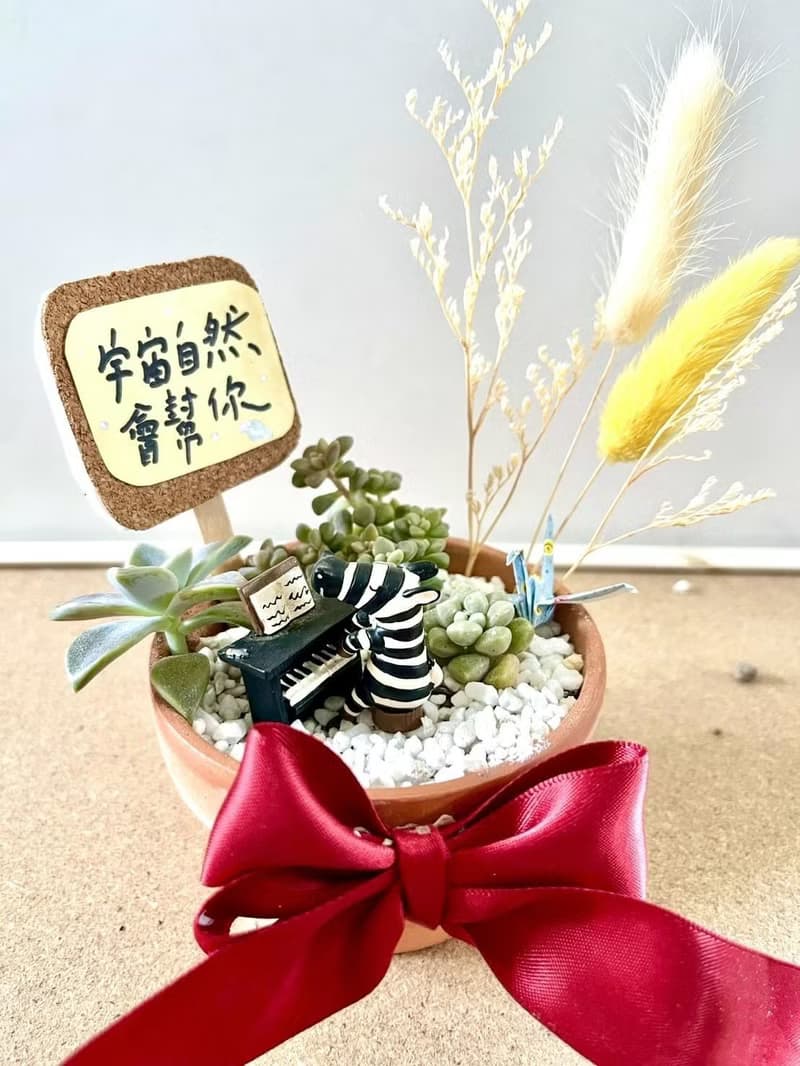 台中多肉組盆 多肉植物 日式枯山水 音樂比賽 鋼琴演奏 音樂送禮