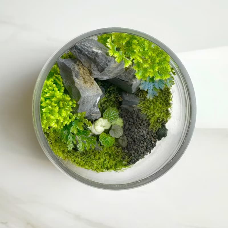 新品上市 - 石徑通幽 / 手工微景觀生態盆