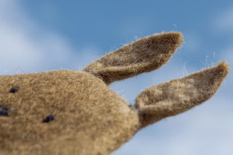 羊毛氈手機袋/羊毛氈收納袋/零錢包/悠遊卡套/羊毛氈錢包-刺繡兔