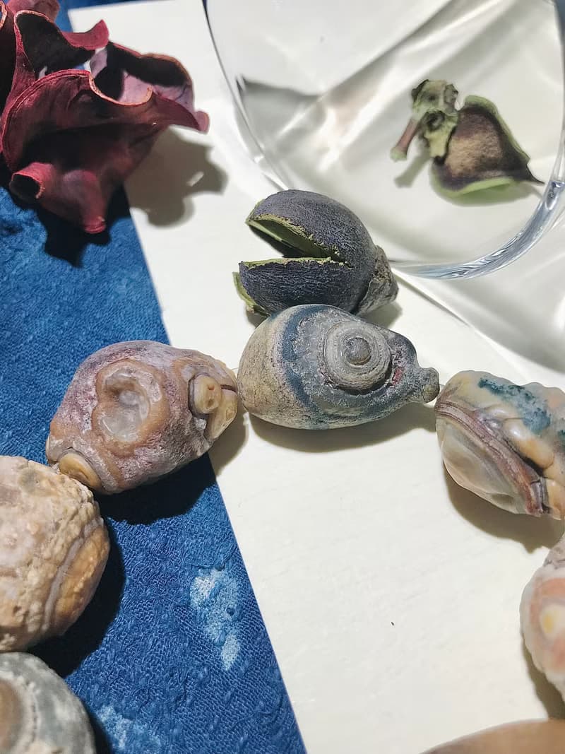 外蒙古眼睛石手鍊