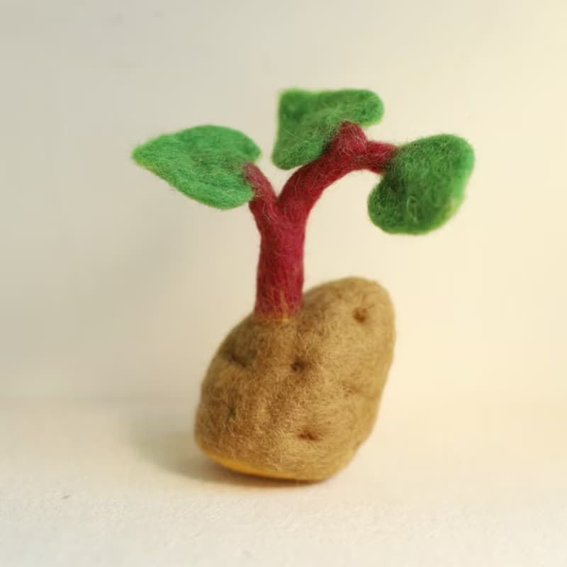 羊毛出在羊山上 羊毛氈  發芽系列 植栽 小盆栽 室內植物 地瓜葉