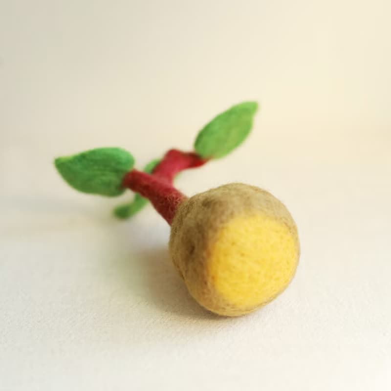 羊毛出在羊山上 羊毛氈  發芽系列 植栽 小盆栽 室內植物 地瓜葉