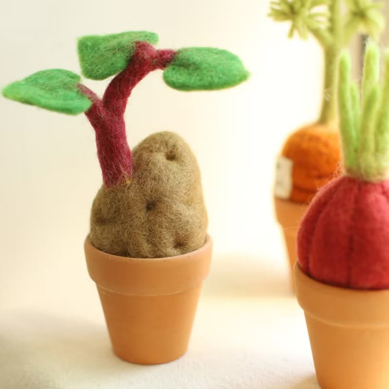 羊毛出在羊山上 羊毛氈  發芽系列 植栽 小盆栽 室內植物 地瓜葉