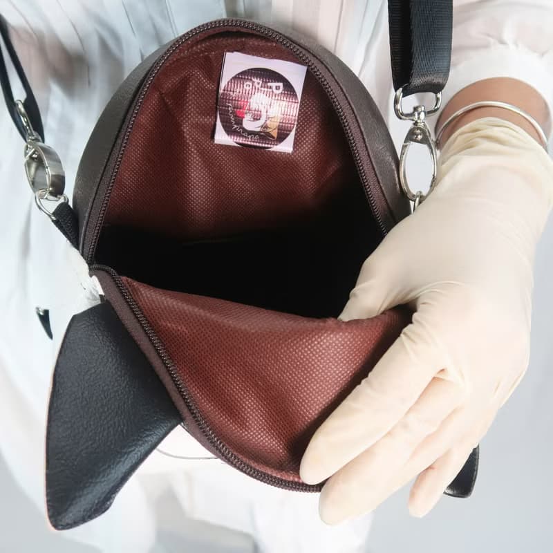 Shiba Inu Mini backpack ,dog crossbody bag, hand painted bag for animal lovers.