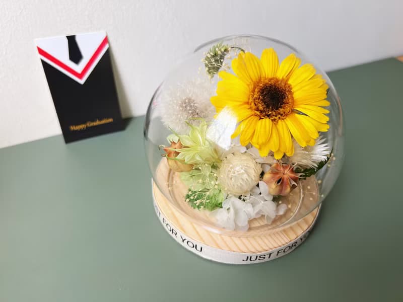 【畢業禮物】flower-of-life陽光蒲照 永生太陽蒲公英玻璃罩