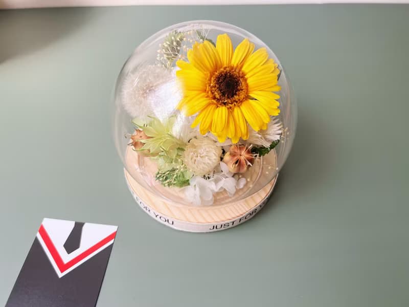 【畢業禮物】flower-of-life陽光蒲照 永生太陽蒲公英玻璃罩