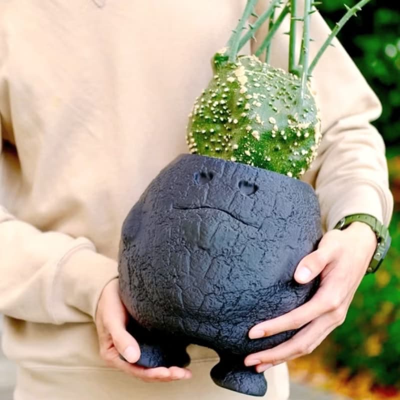 【熔岩肥蛋】植物盆器 3d列印盆器 原創設計 塊根盆 多肉盆 陶盆