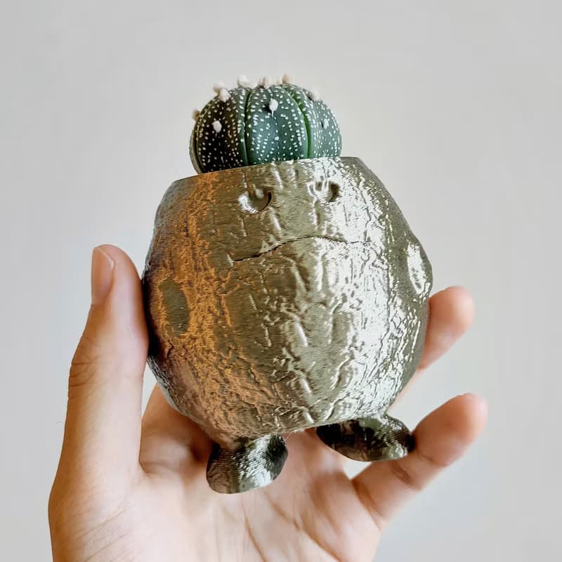 【熔岩肥蛋】植物盆器 3d列印盆器 原創設計 塊根盆 多肉盆 陶盆