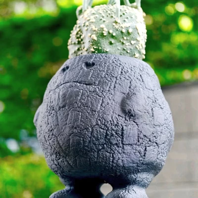 【熔岩肥蛋】植物盆器 3d列印盆器 原創設計 塊根盆 多肉盆 陶盆