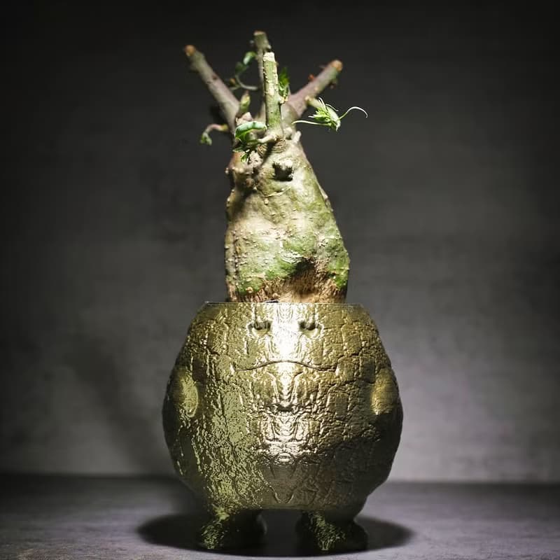 【熔岩肥蛋】植物盆器 3d列印盆器 原創設計 塊根盆 多肉盆 陶盆