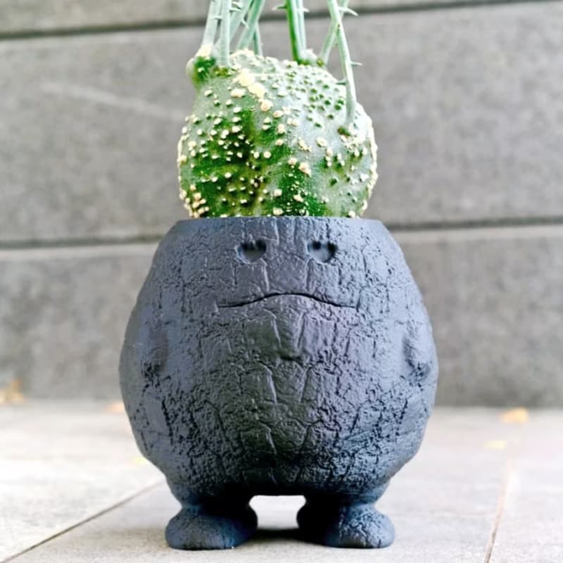 【熔岩肥蛋】植物盆器 3d列印盆器 原創設計 塊根盆 多肉盆 陶盆