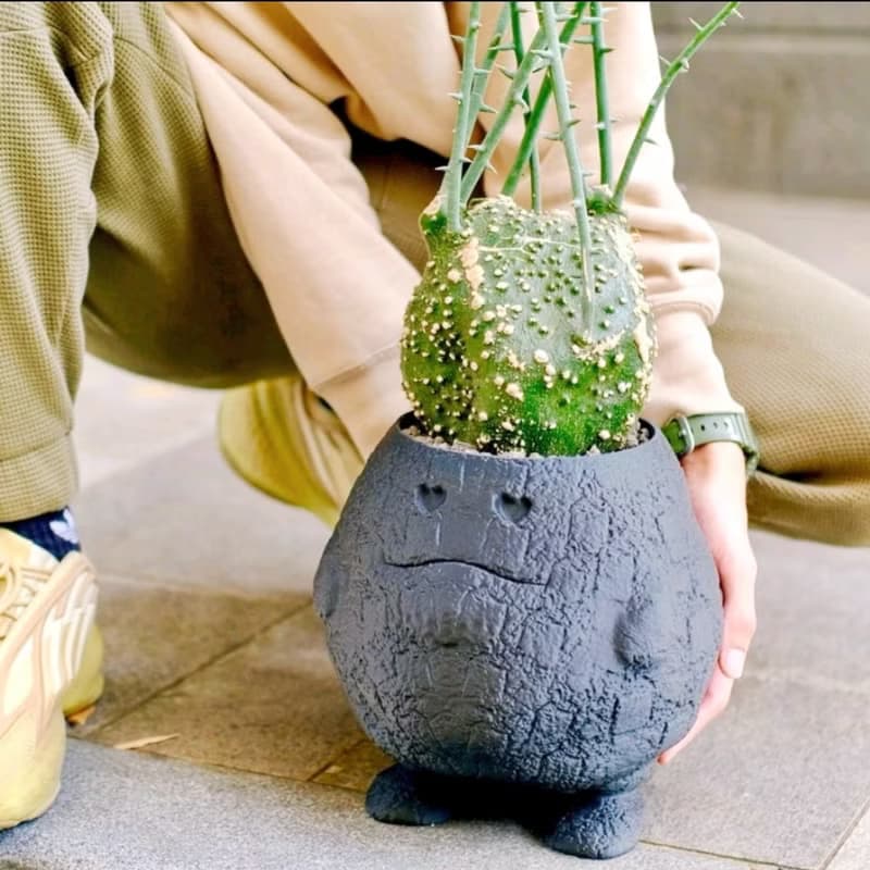 【熔岩肥蛋】植物盆器 3d列印盆器 原創設計 塊根盆 多肉盆 陶盆
