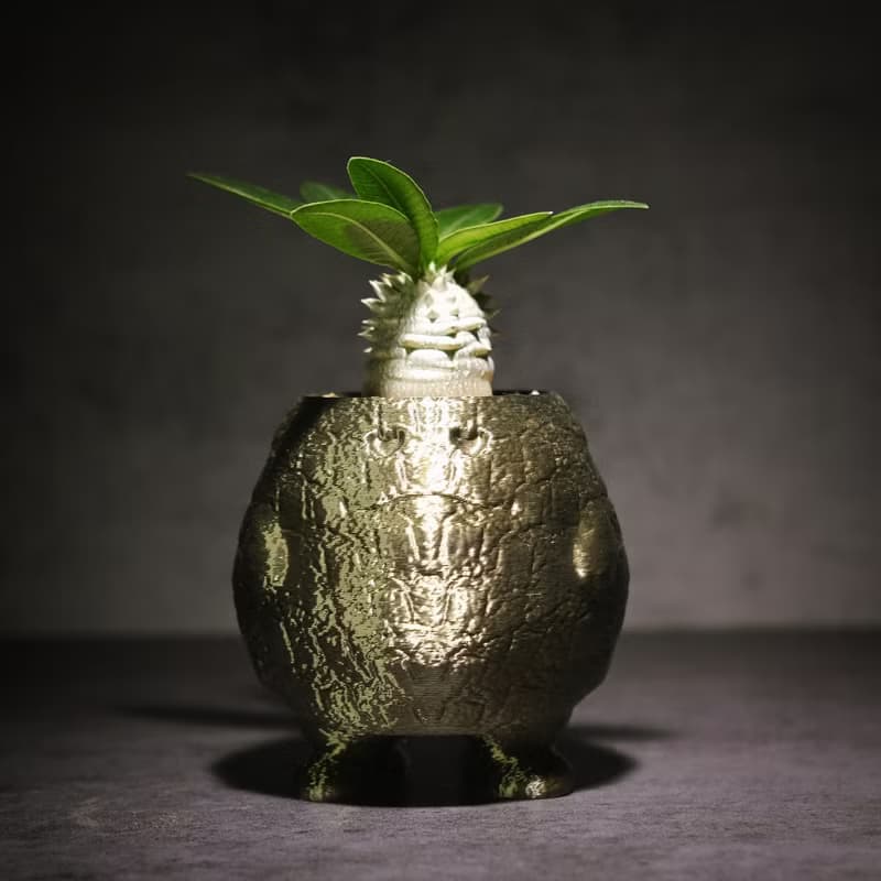【熔岩肥蛋】植物盆器 3d列印盆器 原創設計 塊根盆 多肉盆 陶盆