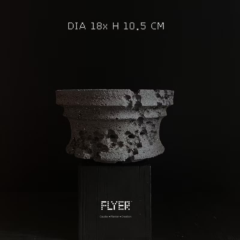 FLYER 塊根多肉植物陶盆器 龍舌蘭象牙宮象足漆樹盆器 粗陶系列