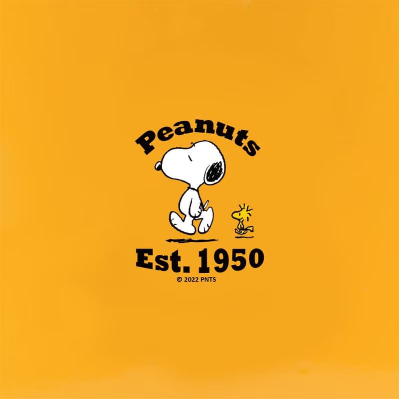 PEANUTS x Homeplus 不銹鋼無線1.7公升SNOOPY電熱水壺-KE938B-YK