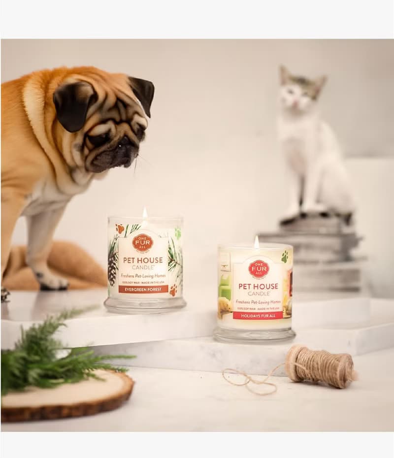 【美國PET HOUSE】室內除臭寵物香氛蠟燭-生日快樂255g