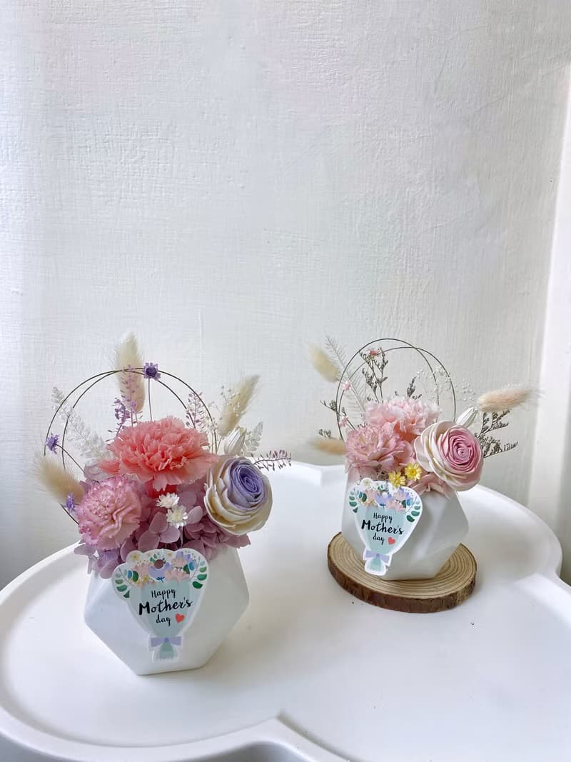 母親節禮物 永生康乃馨盆花 母親節花束 康乃馨永生花 母親節花禮
