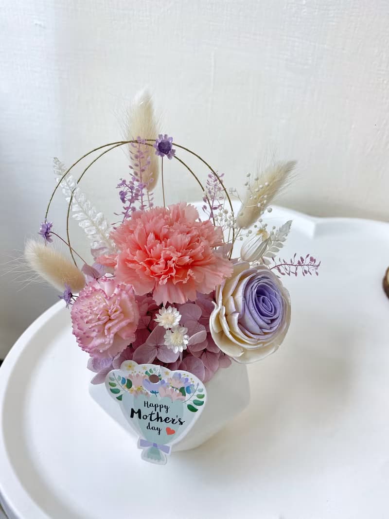 母親節禮物 永生康乃馨盆花 母親節花束 康乃馨永生花 母親節花禮
