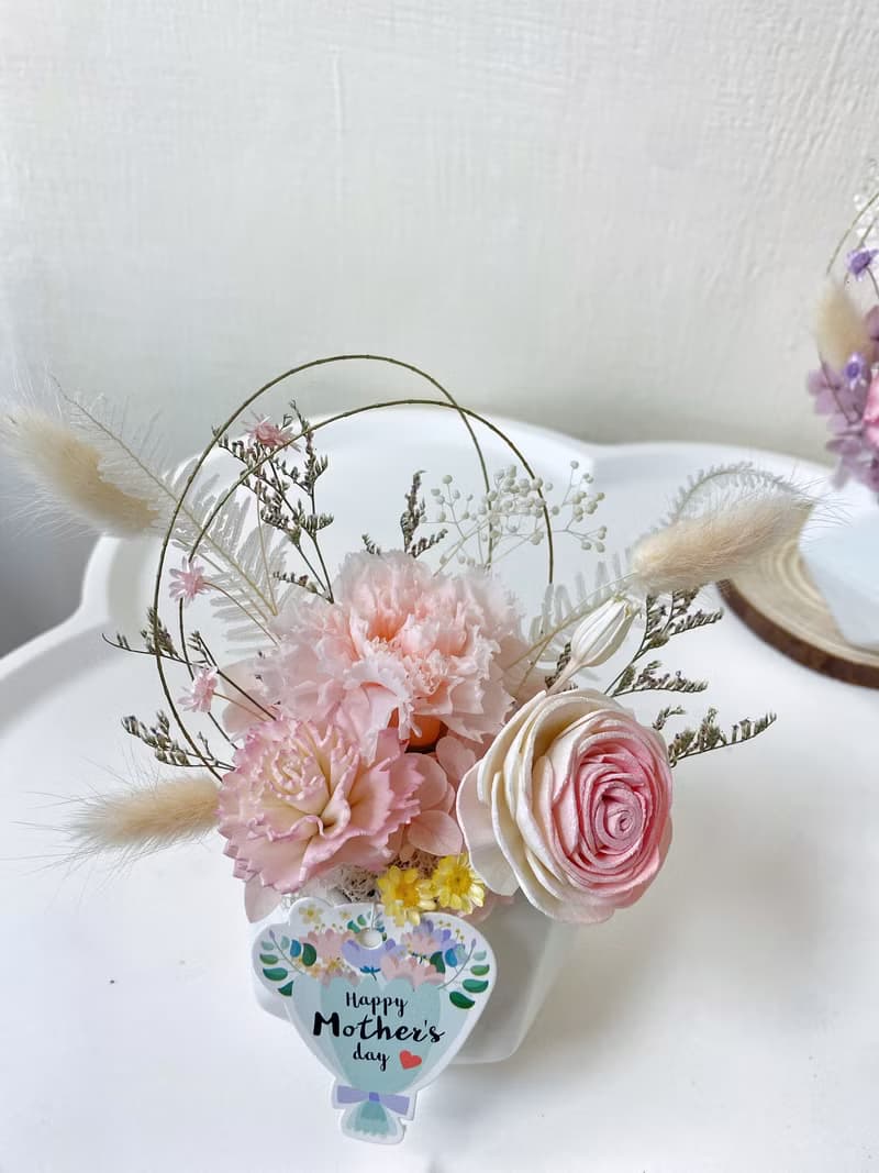母親節禮物 永生康乃馨盆花 母親節花束 康乃馨永生花 母親節花禮