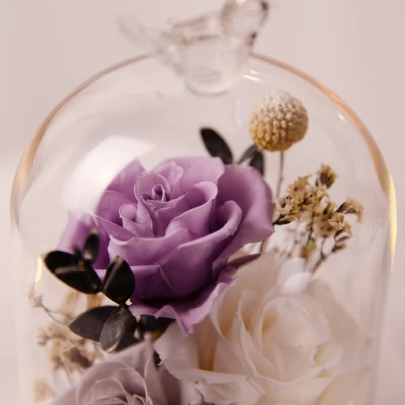 【情懷】Purple紫 永生花 玫瑰 LED 玻璃罩 夜燈 情人節 生日紀念