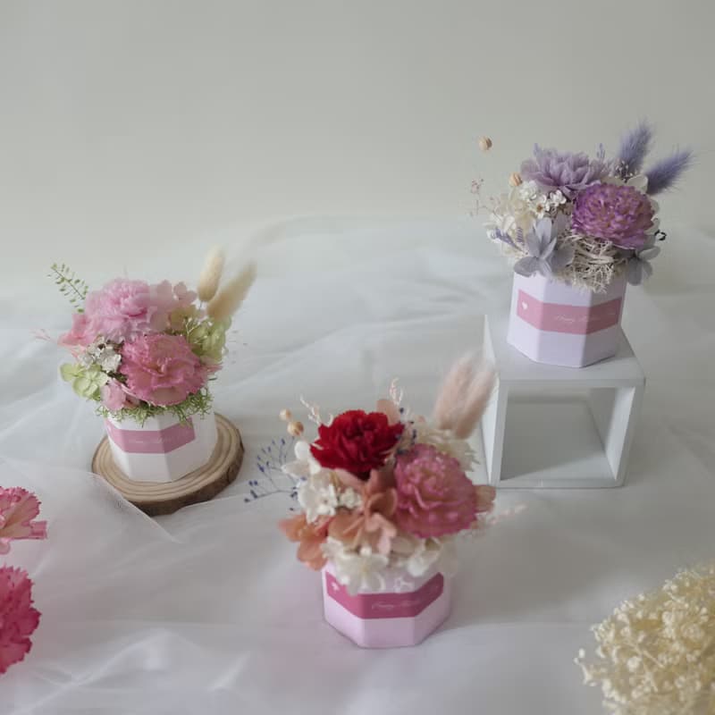 【馬卡龍色系永生康乃馨擴香小盆花】母親節禮物/永生花盆花