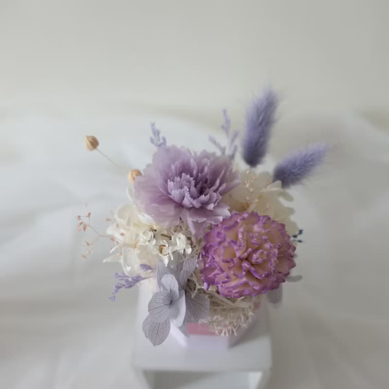 【馬卡龍色系永生康乃馨擴香小盆花】母親節禮物/永生花盆花
