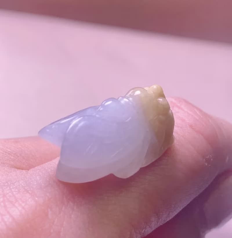 【一鳴驚人】冰種飄黃翡翡翠玉蟬 | 天然緬甸玉A貨翡翠 | 送禮
