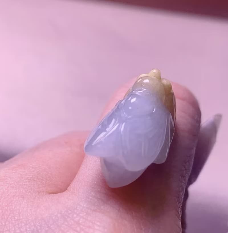 【一鳴驚人】冰種飄黃翡翡翠玉蟬 | 天然緬甸玉A貨翡翠 | 送禮