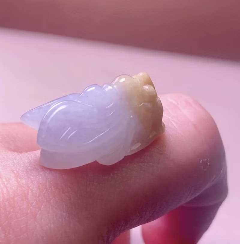 【一鳴驚人】冰種飄黃翡翡翠玉蟬 | 天然緬甸玉A貨翡翠 | 送禮