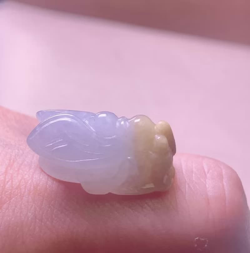 【一鳴驚人】冰種飄黃翡翡翠玉蟬 | 天然緬甸玉A貨翡翠 | 送禮