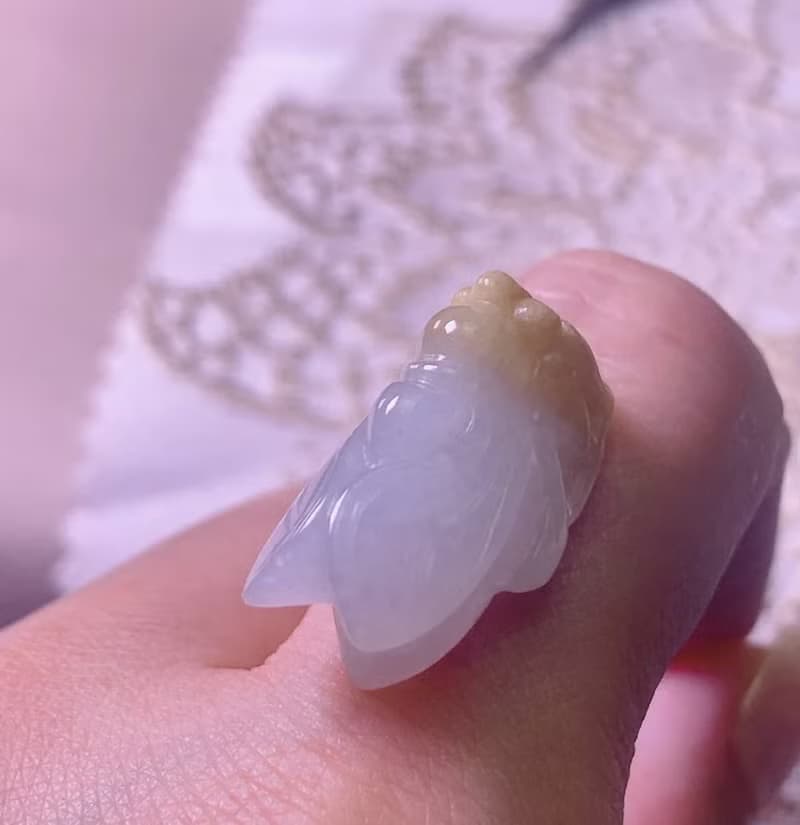 【一鳴驚人】冰種飄黃翡翡翠玉蟬 | 天然緬甸玉A貨翡翠 | 送禮