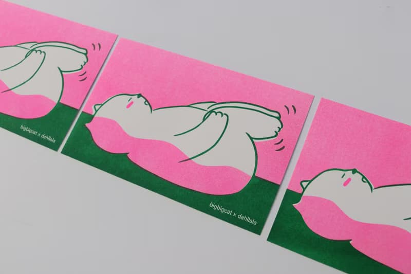 big big cat postcard - Back Stretching