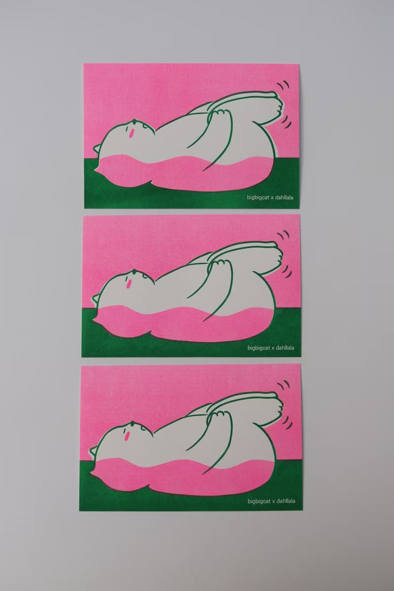 big big cat postcard - Back Stretching