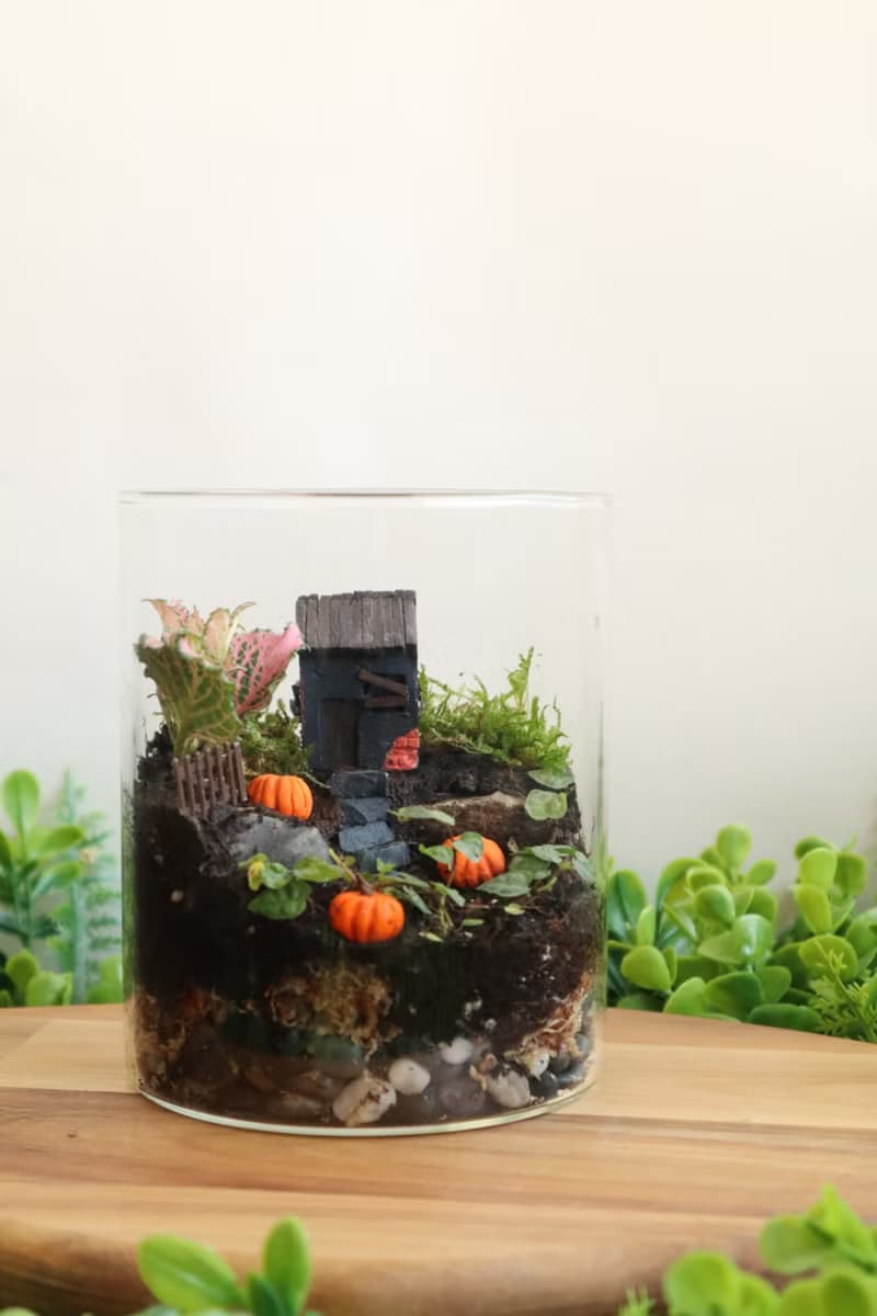 【微景觀】南瓜村1031號 - 苔蘚組盆/萬聖節/交換禮物/南瓜