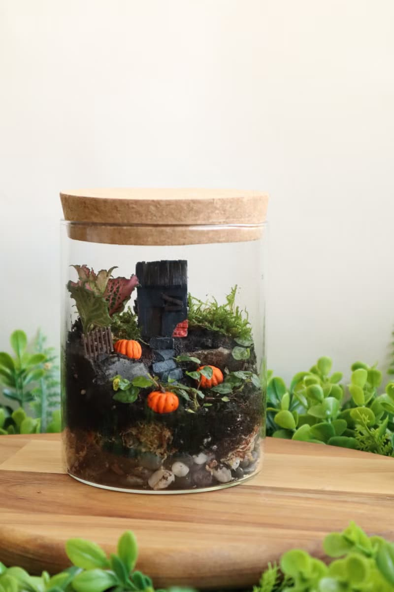 【微景觀】南瓜村1031號 - 苔蘚組盆/萬聖節/交換禮物/南瓜