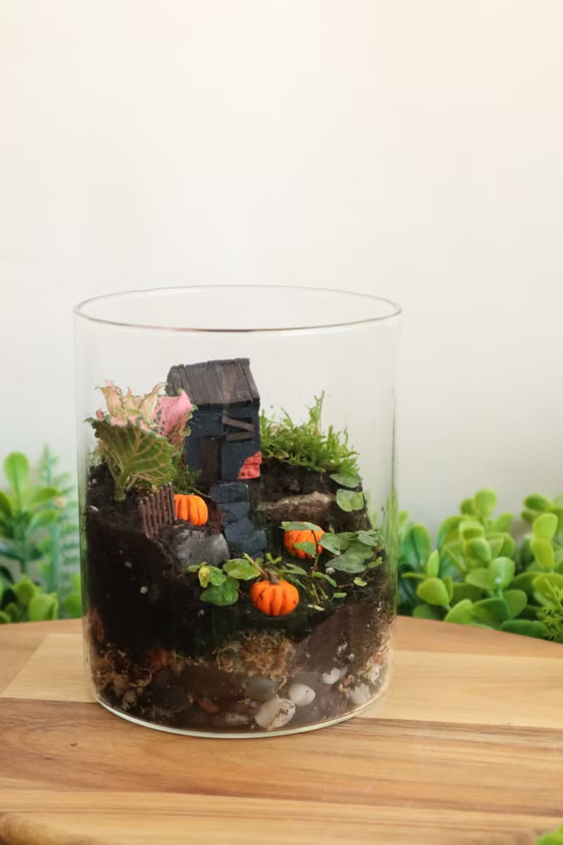 【微景觀】南瓜村1031號 - 苔蘚組盆/萬聖節/交換禮物/南瓜