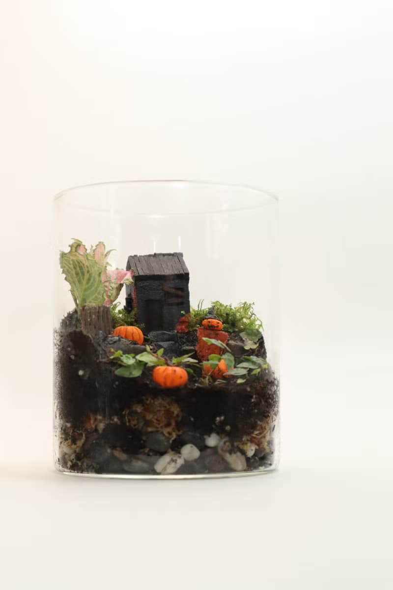 【微景觀】南瓜村1031號 - 苔蘚組盆/萬聖節/交換禮物/南瓜