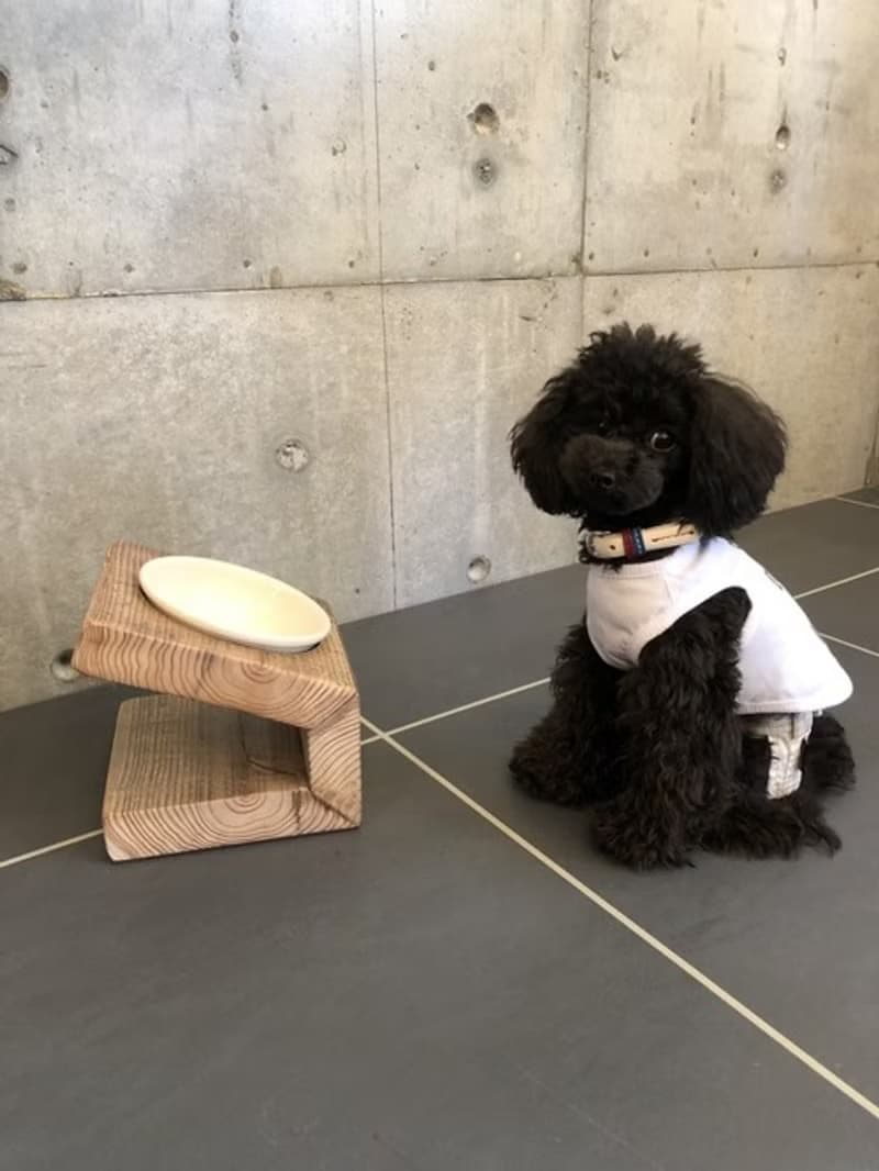 数量限定 　AM1　自由設計　フードテーブル　器1つ　犬家具　猫家具　フードボール　ペット　犬　猫　食器台　TUXTON