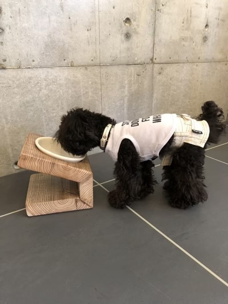 数量限定 　AM1　自由設計　フードテーブル　器1つ　犬家具　猫家具　フードボール　ペット　犬　猫　食器台　TUXTON