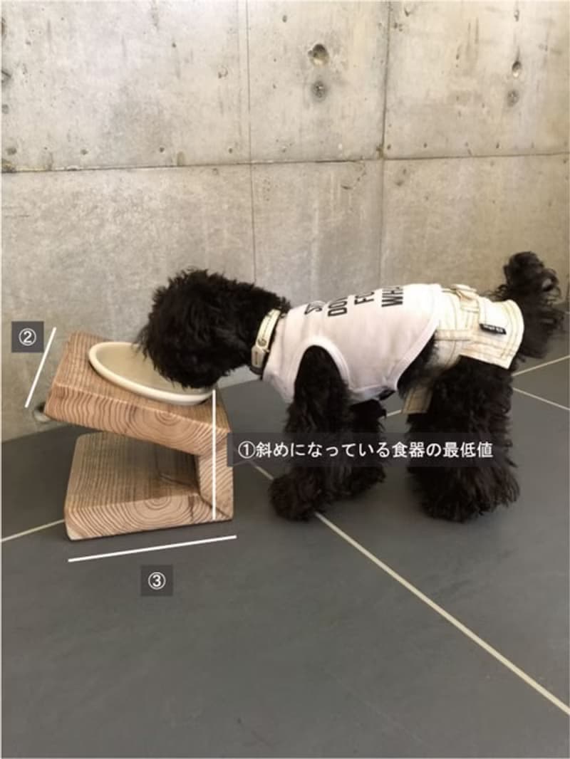 数量限定 　AM1　自由設計　フードテーブル　器1つ　犬家具　猫家具　フードボール　ペット　犬　猫　食器台　TUXTON