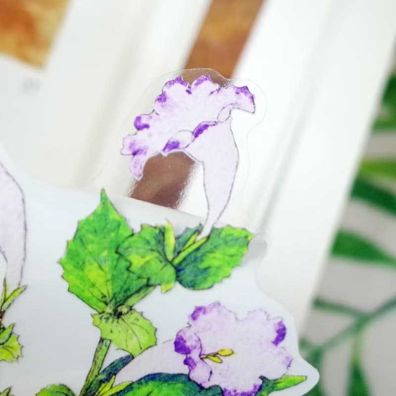 臺灣特有種 曲莖蘭嵌馬藍 繪畫PVC防水大貼紙