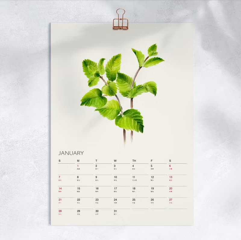 Kitchen Garden  2025 2026廚房菜園月曆 給美食愛好者新年禮物 4