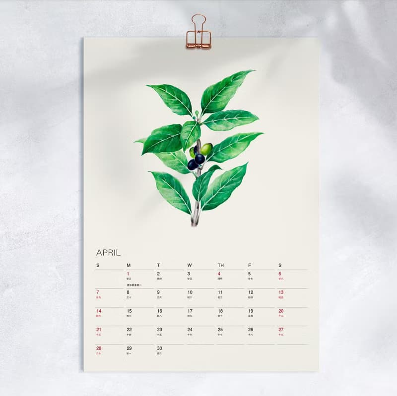 Kitchen Garden  2025 2026廚房菜園月曆 給美食愛好者新年禮物 4