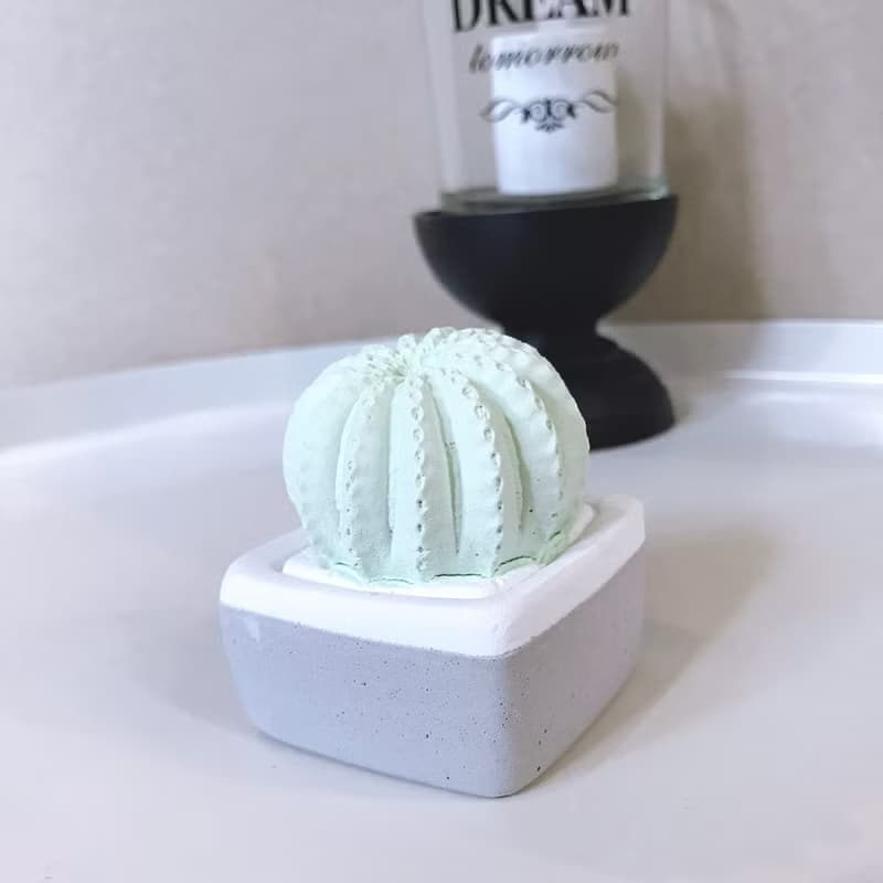 【MINI LIFE x 氛享日記】仙人球造型擴香石