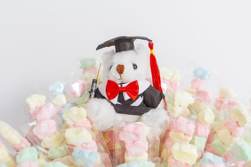 畢業熊(白) + 特惠組5入串裝小花朵棉花糖X100支+搭贈花束底籃1個